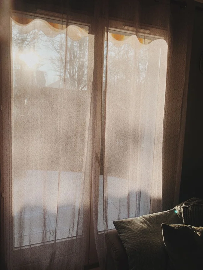 Celebration Sheer Curtain