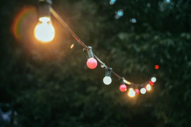 Celebration String Lights