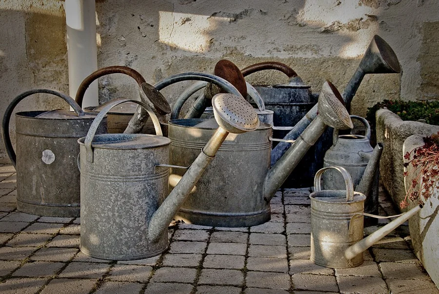 Celebration Watering Can