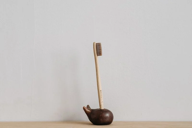 Celebration Toothbrush Holder