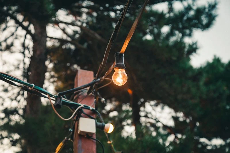 Celebration Outdoor Light