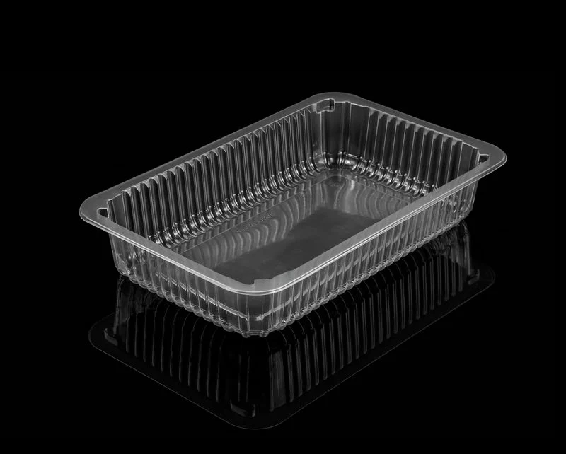 Celebration Food Container Set