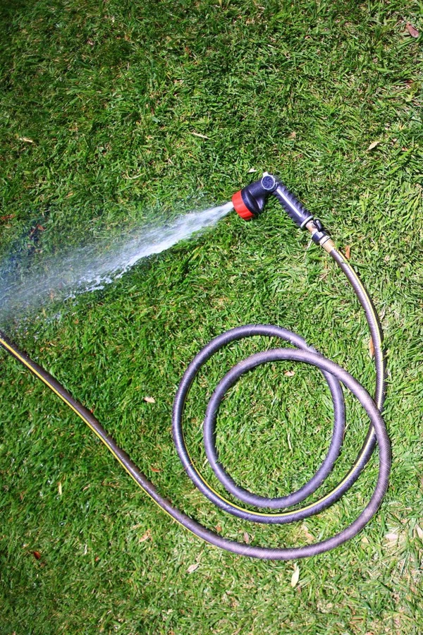 Celebration Garden Hose