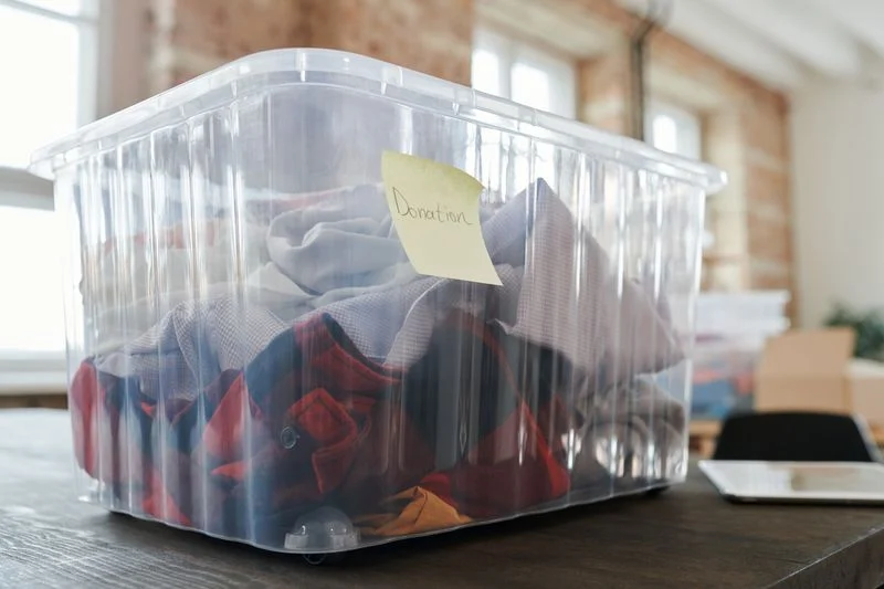 Celebration Underbed Storage Box