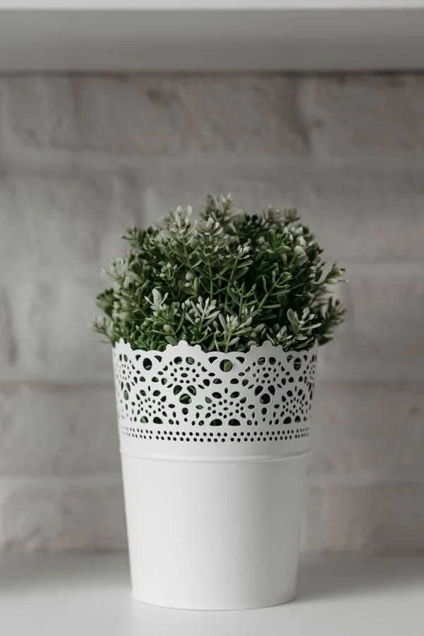 Artificial Plant